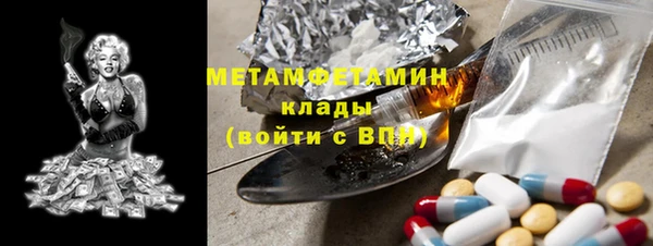 хмурый Алексин