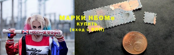 хмурый Алексин