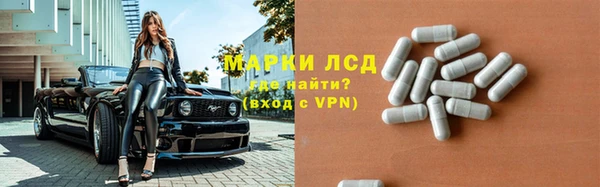 дживик Осинники