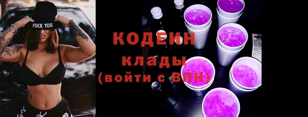 хмурый Алексин