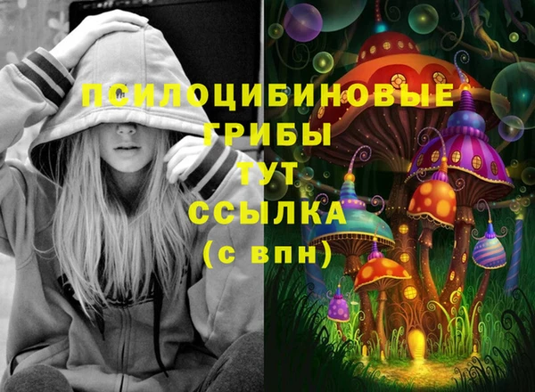 героин Алзамай