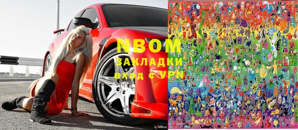 хмурый Алексин