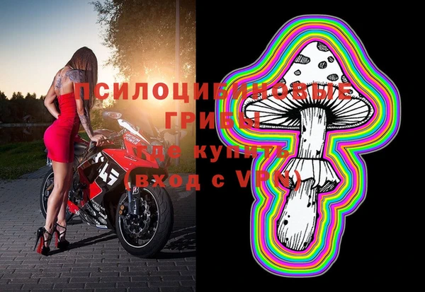 хмурый Алексин