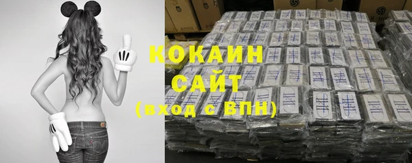 индика Осташков