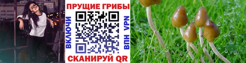 Псилоцибиновые грибы Magic Shrooms Невинномысск