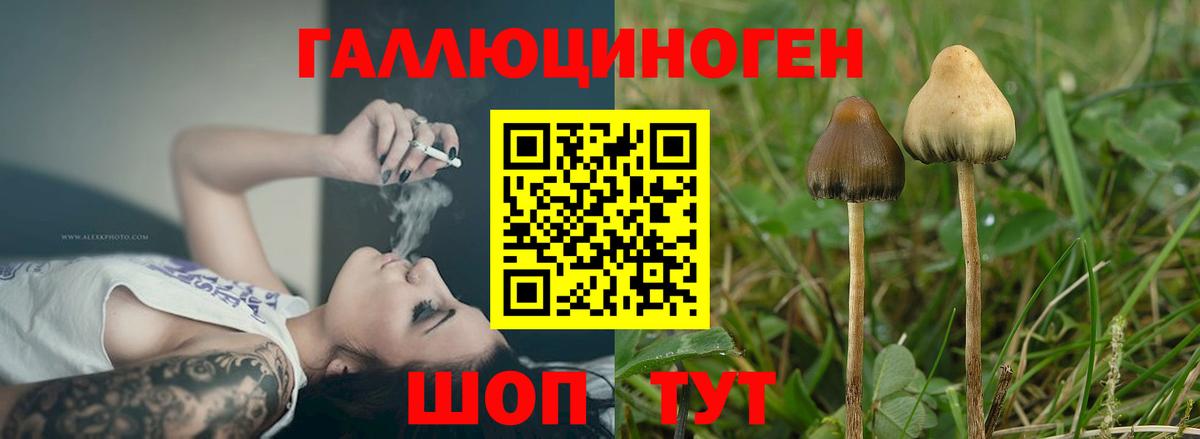 Галлюциногенные грибы мицелий Невинномысск