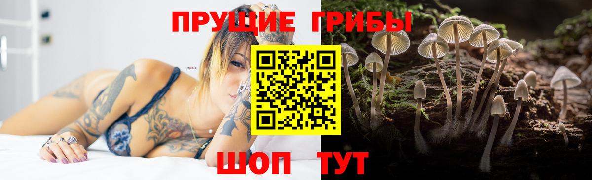 купить наркотики сайты  Галлюциногенные грибы мицелий  Вход с VPN  Невинномысск 