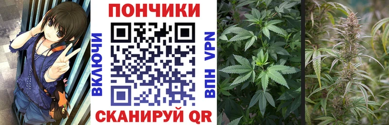 Марихуана Amnesia Невинномысск